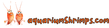 aquariumshrimps.com